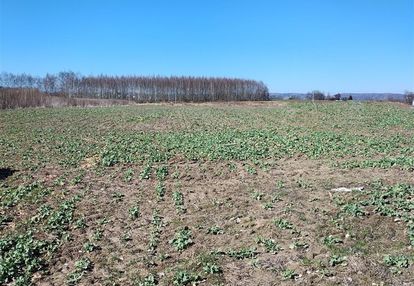 Gmina liszki projekt na 40 budynków