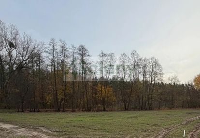 Działka na granicy z lasem