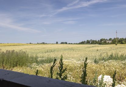 Działka 1752 m² z rozpoczętą budową domu 132 m²