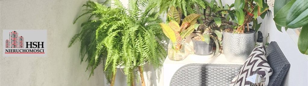 Kraków, dębniki, ruczaj, kobierzyńska