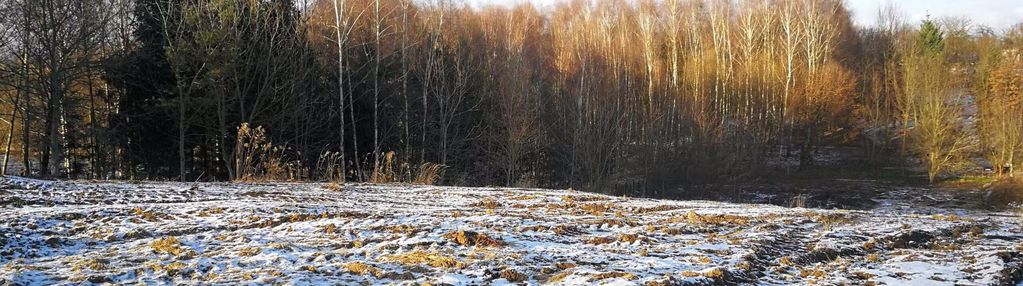Piękna widokowa działka, blisko pkp