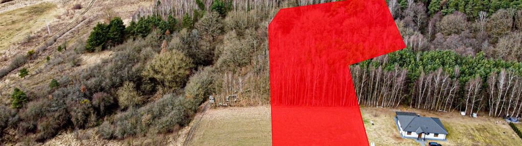 Duża działka z własnym lasem w kępie!