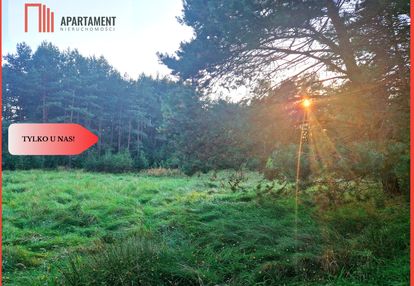 Tylko u nas! działka rolna z pięknym zadrzewieniem