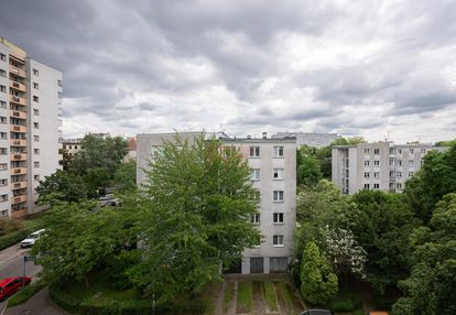 Trzy pokoje na borku