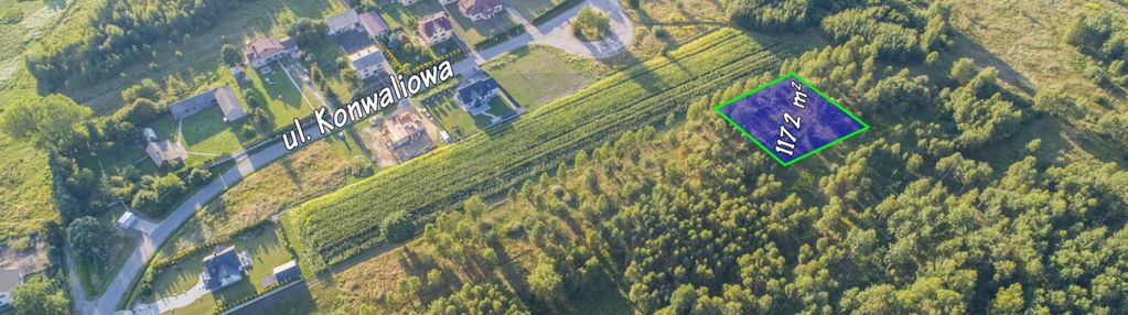 Działka (budowlana), sobuczyna