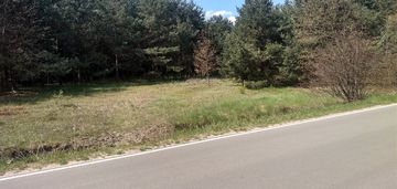 Duża działka koło olsztyna na jurze - nowa cena!!!