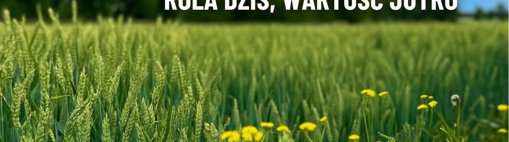 Działka rolna 30 arów z potencjałem mieszkaniowym