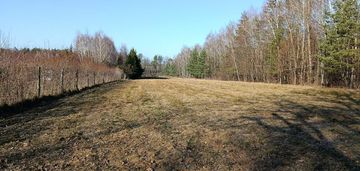 Działka budowlano-rolna 90 ar, krzywe.