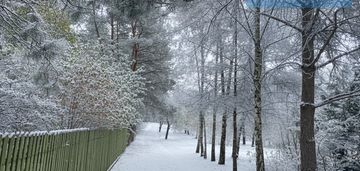 /sad rzeka las/działka w 1h do warszawy/