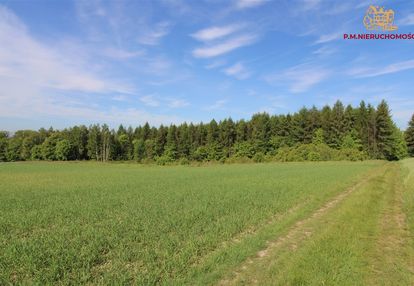 Działka rolna - zalesiona -  dzimierz