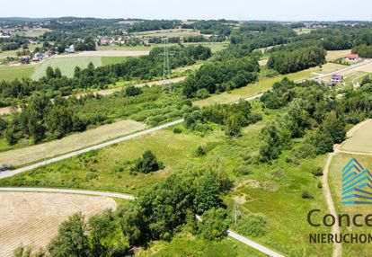 Działka rolna | 37a | stary wiśnicz