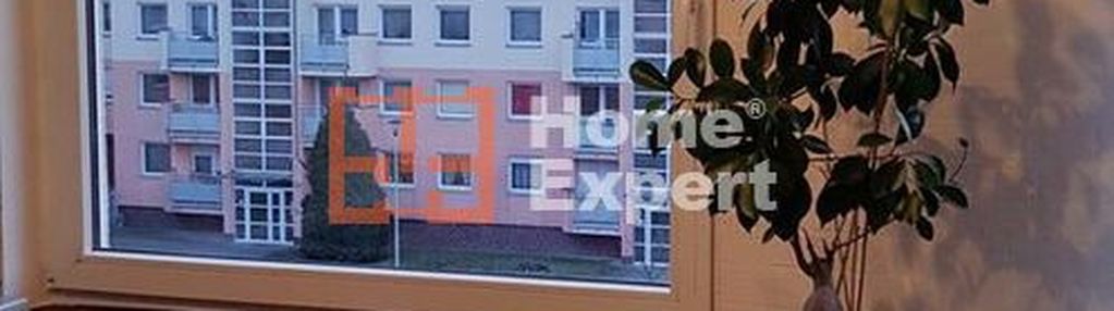 Okolice ulicy hłaski