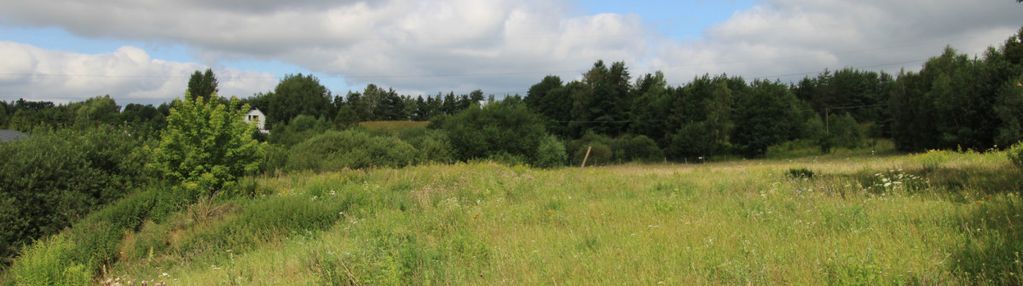 Działka z dużym potencjałem 25 km od gdańska