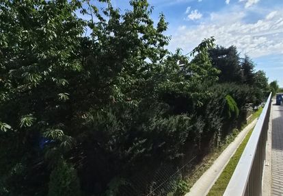 🌿 3 pokoje z prywatnym ogródkiem