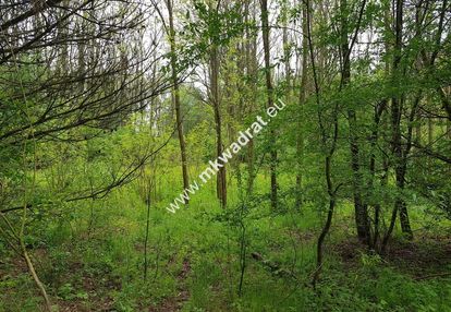 Okazja - niska cena !!!