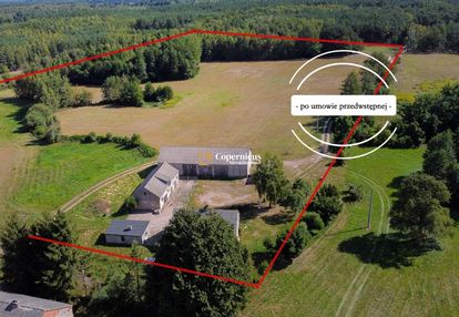 Grunt-6 ha z domem i budynkami,gm.skępe,potencjał