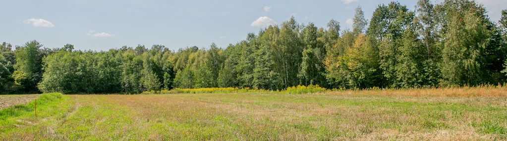 Działka budowlano-zagrodowa poręba radlna!