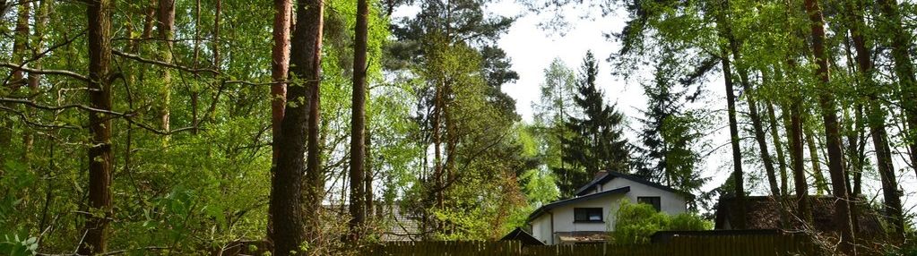 Dom w lesie na sprzedaż 5062 m2 stare babice