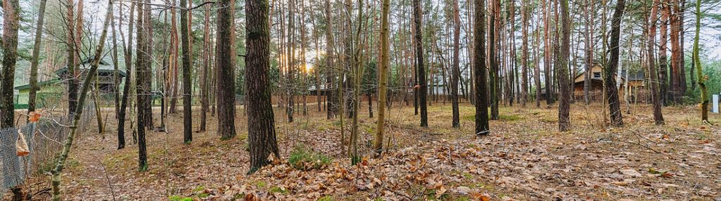 Działka w lesie/pod inwestycję/rekreacyjna