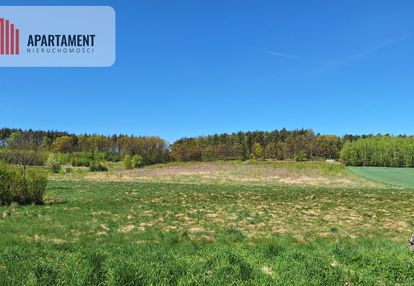 Działka 2500 m2 czernikowice przy lesie