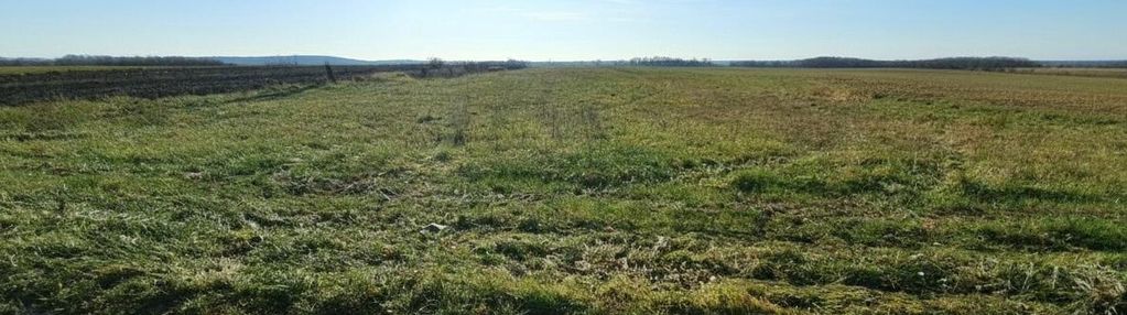 Widokowa budowlana w kształcie prostokąta w pobliżu miechowa