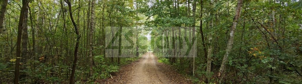 Działka rekreacyjno-mieszkaniowa 1500 m² ojrzanów