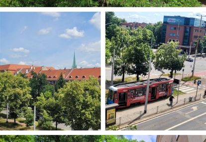 3 poik. rozkład powstańców śl. - hallera