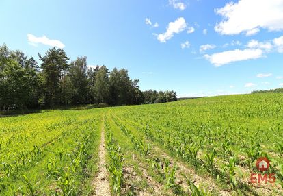 Działka budowlana na mazurach rożyńsk wielki