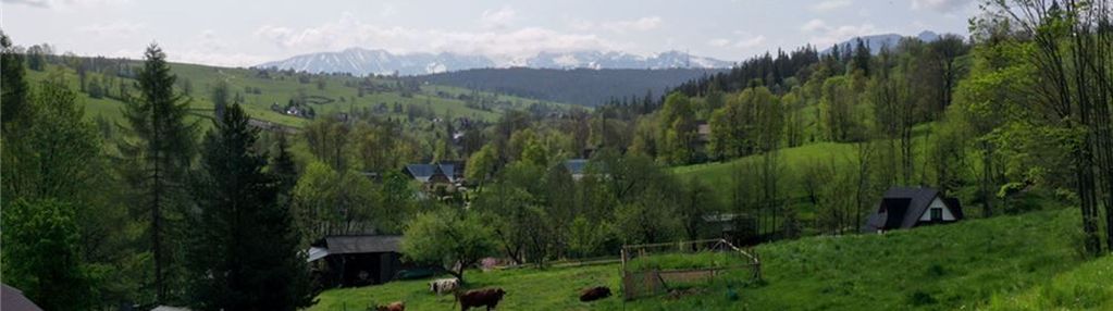 Działka w zaciszu ratułów