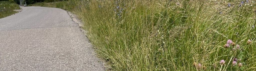 Działka 10 244 m² zabudowa mieszkaniowa i usługi