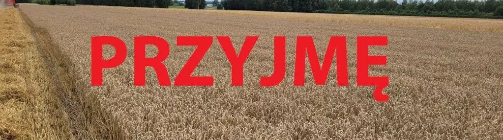 Wydzierżawię grunty rolne/ dzierżawa ziemi