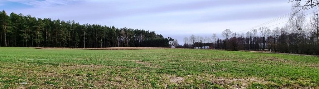 Działka przy ścianie lasu augustów