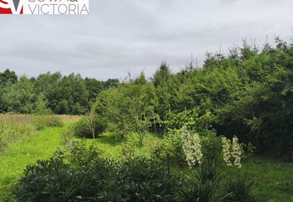 Zagospodarowana działka z sadem , prąd na działce