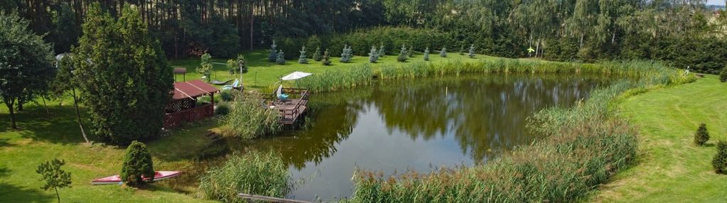 Dom z dwoma stawami i urokliwym lasem