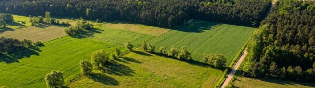 Śródborze – 12,85 ha z wz przy s7
