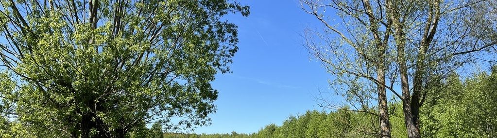 Działka siedliskowa