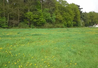 Działka na sprzedaż 800m2