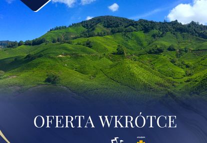 Ostatnia w okolicy | twoje miejsce |