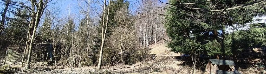 Działka w kameralnej zabudowie ze starodrzewem