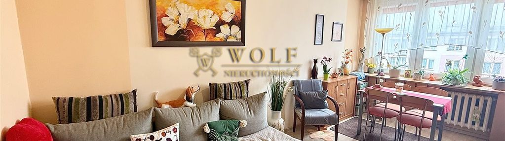 2-pokojowe mieszkanie–bytom, blisko parku kachla