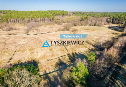 Działki rolne położona w otoczeniu lasu