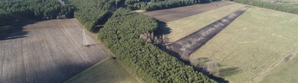 Do sprzedaży nieruchomość leśna