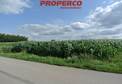 Działka 11000m2, łatanice, wiślica