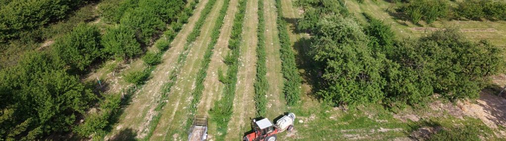 Poniatowa kolonia 4ha działka siedliskowo-rolna