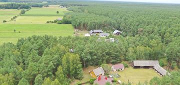 Zielona enklawa w otulinie lasów