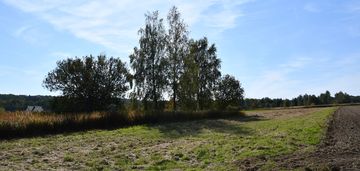 Działka rolno-budowlana 43a - strażów