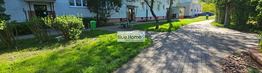 Na wynajem 3 pokoje toruń