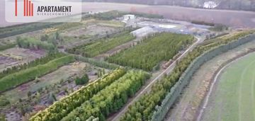 Duża działka 1,73 ha/szkółka drzew iglastych...