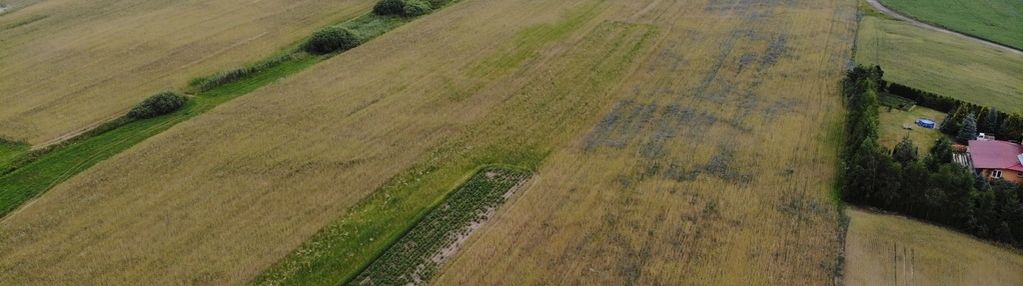 Działki przemysłowe psse sztum