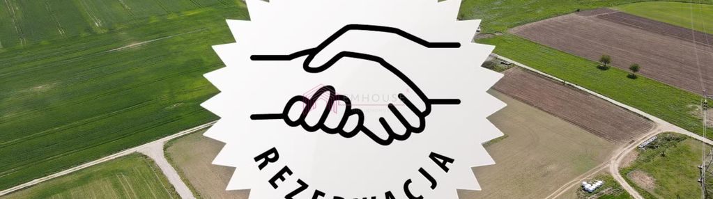 Budowlana w starych bielicach